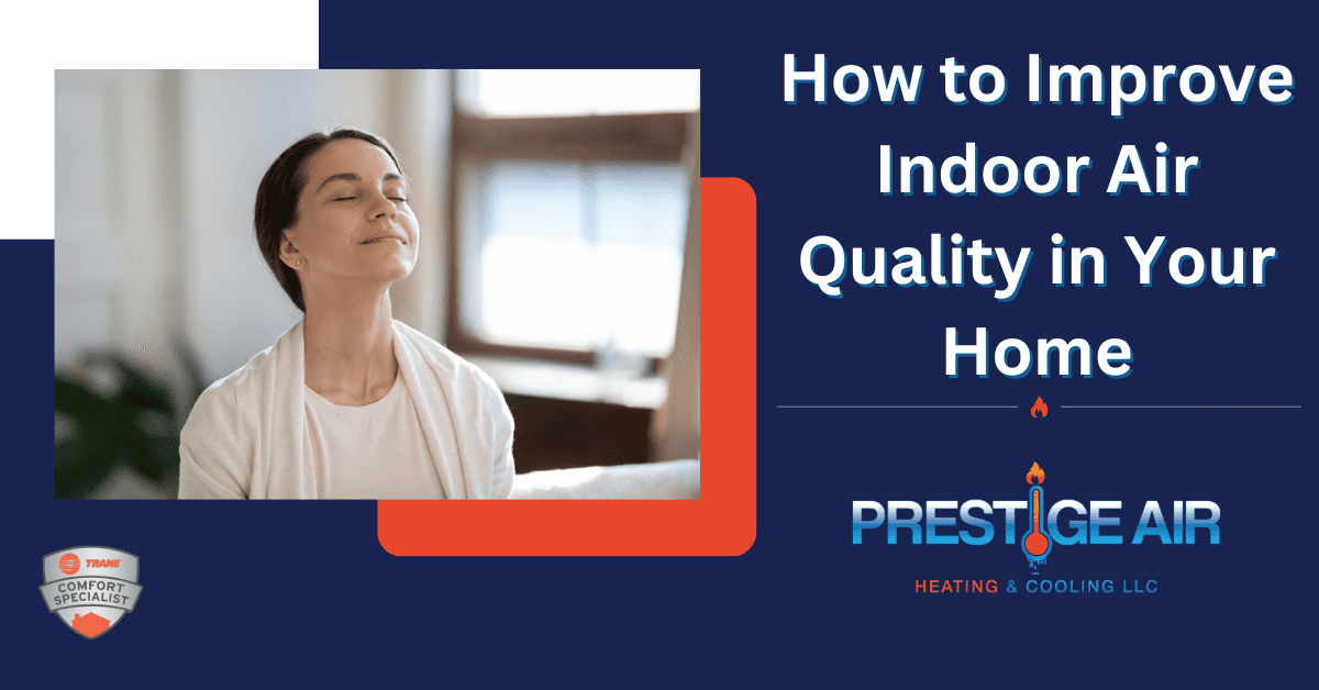 How to Improve Indoor Air Quality in Your Home