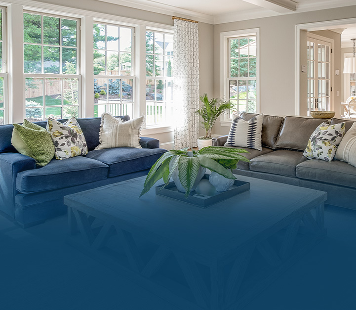 Indoor Air Quality Services